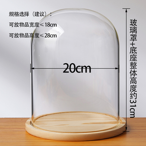 Vente <span class=keywords><strong>en</strong></span> gros 20*36cm <span class=keywords><strong>grande</strong></span> taille fleurs séchées dôme <span class=keywords><strong>en</strong></span> <span class=keywords><strong>verre</strong></span> fabriqué à la main <span class=keywords><strong>cloche</strong></span> <span class=keywords><strong>en</strong></span> <span class=keywords><strong>verre</strong></span> mariage dômes <span class=keywords><strong>en</strong></span> <span class=keywords><strong>verre</strong></span> pot avec base <span class=keywords><strong>en</strong></span> bois - Product Image 3