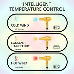 Potente Asciugacapelli <span class=keywords><strong>Professionale</strong></span> <span class=keywords><strong>da</strong></span> <span class=keywords><strong>Parrucchiere</strong></span> 1500W con Etichetta Privata per Salone - Product Image 5