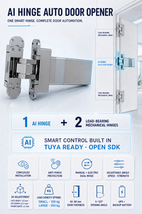 Charnière de porte automatique OEM avec ferme-porte automatique et ouvre-porte intelligent pour porte d'entrée - Product Image 4