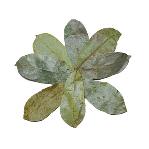Хит продаж, листья, чай, Натуральные Травяные сушеные листья - Product Image 3