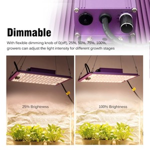 Lampe de culture LED à spectre complet 120W 240W LM281B pour serres et tentes de culture, lampe de croissance dimmable pour semis, légumes et fleurs - Product Image 6