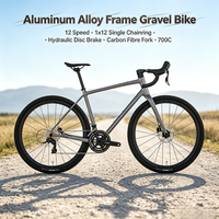 Vélo de gravier Aero Alloy G2max 12 vitesses 1x12, pignon unique, frein à disque hydraulique, fourche en fibre de carbone, cadre en alliage d'aluminium 700C