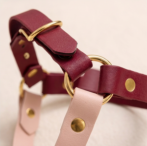 Ensemble <span class=keywords><strong>de</strong></span> laisse <span class=keywords><strong>et</strong></span> harnais pour chien <span class=keywords><strong>de</strong></span> luxe, hybride, imperméable, réglable, personnalisable, anti-traction, en PVC, avec harnais gilet en Y pour animaux <span class=keywords><strong>de</strong></span> compagnie - Product Image 2