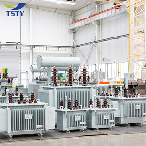 热50kva 100kva 150kva 200kva 250kva 300kva 400kva 450kva 500kva 20kv油浸式配电变压器 - Product Image 5