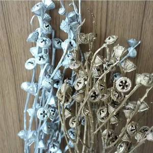 Semillas de <span class=keywords><strong>eucalipto</strong></span> PPS12, flores secas naturales de alta calidad, frutas para decoración del hogar, Color dorado y plateado para el Día de San Valentín, China - Product Image 6
