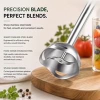 Mixeur Plongeant Électrique 500W à 2 Vitesses avec Lame en Acier Inoxydable pour Aliments Bébé, Soupes et Sauces