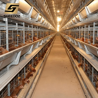 Cages à poulets de type A galvanisées pour élevage de poules pondeuses, équipement d'élevage avicole pour fermes et poulaillers