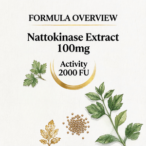 Complément Alimentaire OEM ODM Nattokinase 2000 FU 100mg 60 Capsules – Capsules Végétales Fermentées - Product Image 6