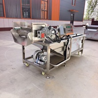 Gerecycleerde waterbel-wasmachine voor groente- en fruitverwerkingsbedrijven, milieuvriendelijk, multifunctioneel, gemotoriseerd