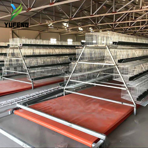 Cage à poulets de type A <span class=keywords><strong>pour</strong></span> 5000 oiseaux, avec système d'abreuvement entièrement automatique, <span class=keywords><strong>pour</strong></span> élevage avicole en Tanzanie - Product Image 5