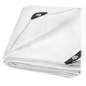 Lona de Polietileno (PE) de Tamaño Personalizado, Resistente a los Rayos UV, Impermeable, para Moldeo, Soldadura, Corte, Uso Agrícola, Invernaderos y Cubiertas Exteriores - Product Image 3
