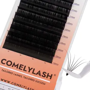 Nieuwe Wimper Individuele Wimper Matte Black Siberische Las Extension Supplies Private Label Russische Volume Lash Extensions Trays