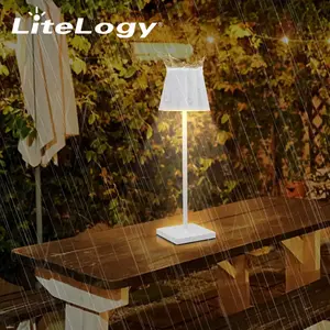 New Style Rechargeable Reading Light Decorative Restaurant Hotel Coffee Study Bedside Led Table Lamp