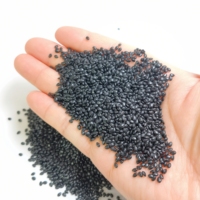 500g de sésame noir artificiel, simulation alimentaire, décoration pour maison, fête, cuisine, accessoire de décoration