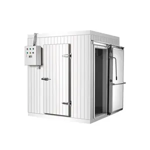 Low Temperature Freezer Storage with Cold Room Panel Price for food