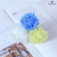 Têtes de fleurs d'œillet éternelles carrées à 8 têtes, 4-5 cm, faites à la main, fournitures d'artisanat DIY, vente en gros, cadeau haut de gamme, Fête des Mères, préservées