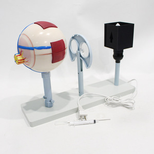Modèle agrandi d'un simulateur d'imagerie oculaire ; Simulateur du principe de l'imagerie oculaire ; Expérience de biologie pour collégiens - Product Image 2