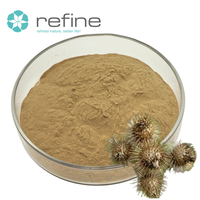 Extrait de fruit de bardane en poudre, 30% d'arctiine HPLC, en vrac, extrait de graines d'Arctium Lappa, fourni par l'usine