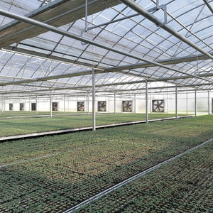 Multi span casa verde marcos de acero galvanizado con sistema de refrigeración para el cultivo de caracoles - Product Image 5
