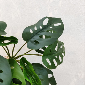 Cây Monstera Nhân Tạo Bán Sỉ 2022 Cây Leo Cây Treo Nhân Tạo Cây Xanh Trang Trí - Product Image 6