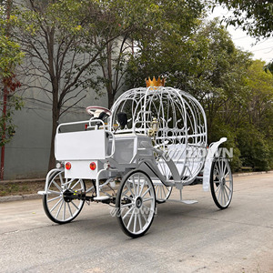 Carruaje de Cenicienta Motorizado de Alta Calidad al por Mayor, Carros de Caballos con Forma de Calabaza para Bodas, Carruaje de Cenicienta para Princesas - Product Image 3