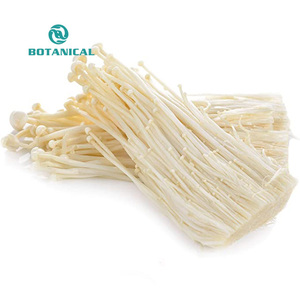 บี.ซี.ไอ ซัพพลาย ออร์แกนิค ผงโพลีแซ็กคาไรด์ 10% 30% สารสกัดจากเห็ดเอโนกิ / เฟลมูลินา เวลูไทป์ส / เห็ดเข็มทอง - Product Image 2