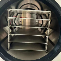 KT-HFD KETHINK Lyophilisateur sous vide à usage domestique/de laboratoire Lyophilisateur Machine Snake Venom Vacuum Ffreeze Dryer