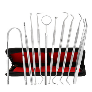 Dental Tool Set 10 Piece Stainless Steel <b>Cleaning</b> Kit For Home Use Tooth Stain Removal - Product Image 1