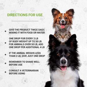 आकस्मिक उल्टी, दस्त और भूख की हानि के लिए पशु चिकित्सा सूत्र पेट पाचन देखभाल तरल - Product Image 4