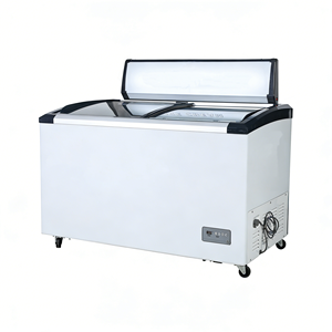 Congelador Horizontal Comercial para Supermercado, 110V60Hz, Puerta Curva de Vidrio Deslizante, <span class=keywords><strong>308L</strong></span> - Product Image 3