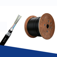 Cable de fibra óptica Gyta 144 de doble vaina de modo único blindado de modo único enterrado directo personalizado