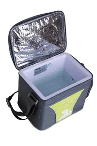 Durable And High Quality 7L Portable Mini Compressor Outside Camping Car Fridge Freezer Cooler Box Bag