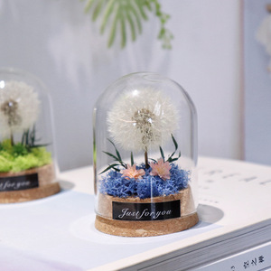 Fiore Eterno Dandelion 6*8cm Sotto Cupola di Vetro, Regalo per la <span class=keywords><strong>Festa</strong></span> degli Insegnanti, <span class=keywords><strong>Festa</strong></span> <span class=keywords><strong>della</strong></span> <span class=keywords><strong>Mamma</strong></span>, Natale, <span class=keywords><strong>Festa</strong></span> <span class=keywords><strong>della</strong></span> Donna - Product Image 6