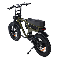 Vélo de montagne électrique V20 pour adultes, 1000W, 20 pouces, pneus larges, porte-bagages arrière, freins à disque hydrauliques, en stock