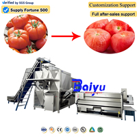 Baiyu industriële stoomschilmachine voor tomatensausproductie met hoge opbrengst en weinig productverlies