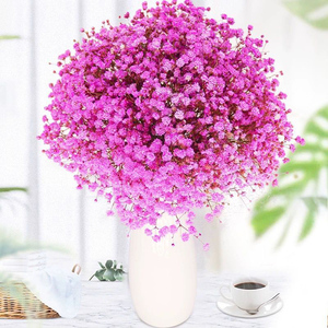 Multi Cores Flores Grinaldas Respiração Natural do Bebê Preservada Flores e Plantas para Long-Lasting Home Decor Arranjos do casamento - Product Image 6