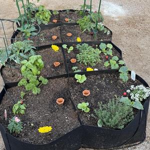 Dispositivos automáticos de riego de plantas de terracota natural al por mayor picos de <span class=keywords><strong>autorriego</strong></span> <span class=keywords><strong>para</strong></span> sistema de riego de macetas de <span class=keywords><strong>vacaciones</strong></span> - Product Image 6