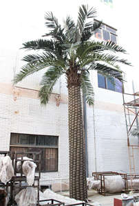 Arbre aux algues en <span class=keywords><strong>argent</strong></span> artificiel Grand palmier FRP Date de la mer Palmier Extérieur Intérieur Centre commercial Plancher <span class=keywords><strong>Faux</strong></span> arbre <span class=keywords><strong>D</strong></span>écoration Plantes - Product Image 5