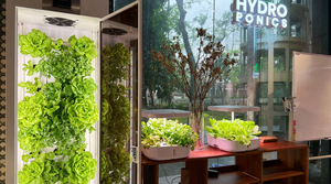 Vertical Growing Systems Hydroponic Grow Plant Cabinet for <b>Vegetables</b> Commercial Indoor Hydroponic Cabinet Growing System Commer - Product Image 4