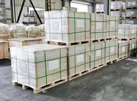 Briques de vermiculite d'isolation thermique pour le four à pizza