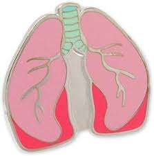 Pins Médicos Personalizados, Regalo para Médicos, Pins de Solapa con Forma de Riñón, Corazón, Pulmones, Cerebro, Insignia Personalizada de Navidad, Impresión Digital Promocional, Chapado - Product Image 5