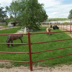 Pannelli di recinzione per cavalli a tubo circolare per bestiame pannelli per bovini per cavalli agevolmente assemblati da allevamento di pecore e capre - Product Image 3