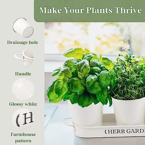 PERFNIQUE Grande jardinière d'intérieur/d'extérieur pour plantes aromatiques Pots de fenêtre en métal pour ferme Plateau de rebord de fenêtre comprenant uniquement une jardinière - Product Image 4