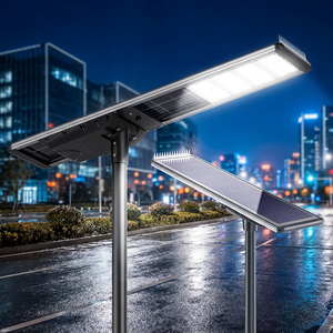 Programmable High Quality 30W 60W 80W 100W Solar Power <b>LED</b> Street <b>Light</b> with Smart Timer and Dusk to Dawn Control - Product Image 1