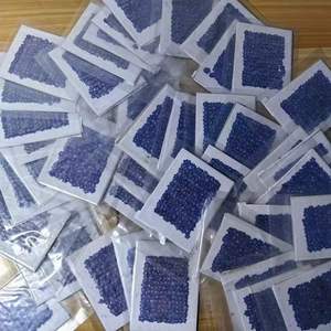 Eco Friendly DIY azul púrpura prensado Forget Me Not <span class=keywords><strong>para</strong></span> decoración de boda arte de resina suministros <span class=keywords><strong>para</strong></span> manualidades Tarjeta de nota escrita a mano - Product Image 5