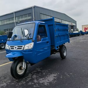 Дизельный двигатель, моторизованный трехколесный автомобиль с закрытой кабиной, усиленная гидравлическая система сброса грузового ящика - Product Image 2