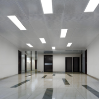 Placas de Techo Suspendido Metálicas Ignífugas para Diseño de Oficina Moderna, Placas de Techo Falso de Aluminio de 60x60 Absorbentes de Sonido
