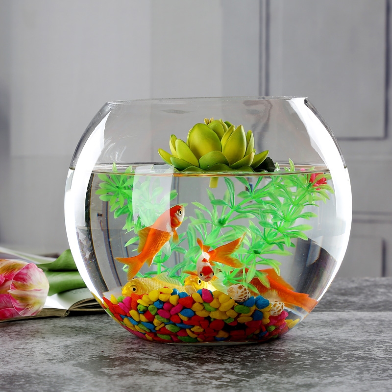 Factory Produced Wholesale Fish Tank  Aquariums & Accessories