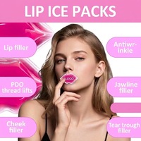 Compresse froide en gel PVC personnalisée pour la vente en gros, 12*6cm, pour le soulagement des gonflements des lèvres