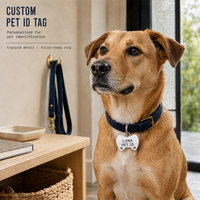 Plaques d'identification personnalisées en aluminium pour chiens, à graver, avec puce NFC, pour colliers, vente en gros